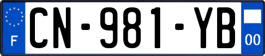 CN-981-YB