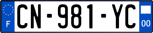 CN-981-YC