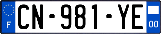 CN-981-YE