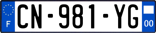 CN-981-YG