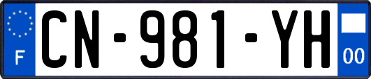 CN-981-YH