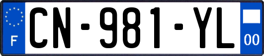 CN-981-YL