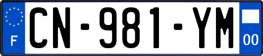 CN-981-YM