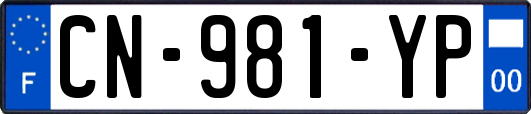 CN-981-YP