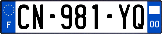 CN-981-YQ