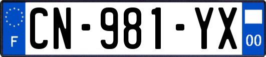 CN-981-YX