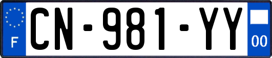 CN-981-YY