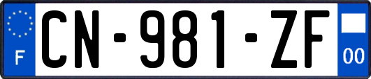 CN-981-ZF