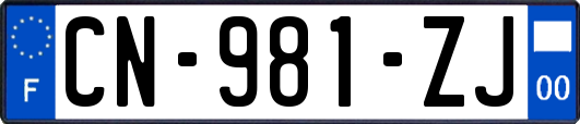 CN-981-ZJ