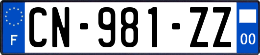 CN-981-ZZ