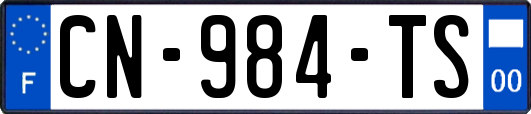 CN-984-TS
