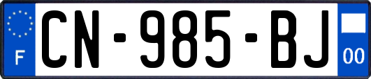 CN-985-BJ