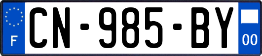 CN-985-BY