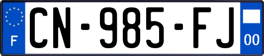 CN-985-FJ