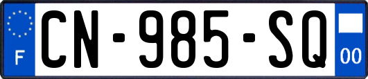 CN-985-SQ