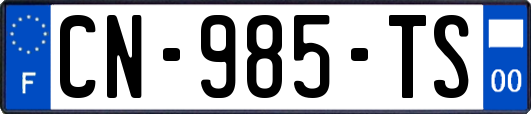 CN-985-TS