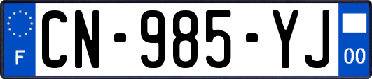 CN-985-YJ