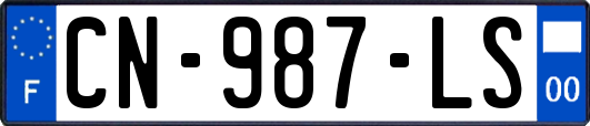 CN-987-LS
