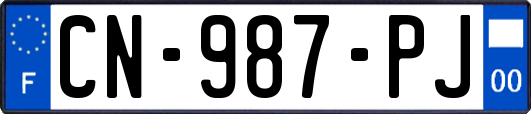 CN-987-PJ