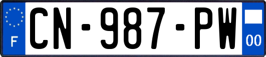 CN-987-PW