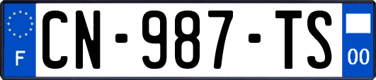 CN-987-TS