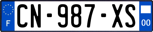 CN-987-XS