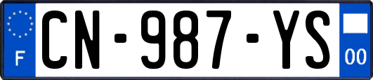 CN-987-YS