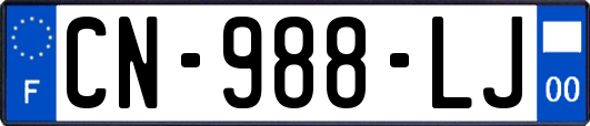 CN-988-LJ