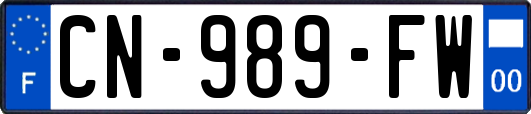 CN-989-FW