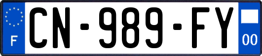 CN-989-FY