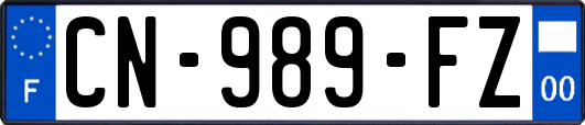 CN-989-FZ