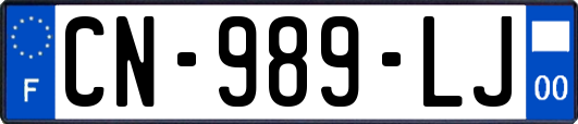 CN-989-LJ