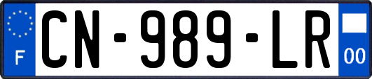 CN-989-LR