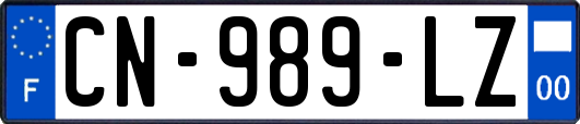 CN-989-LZ