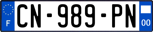 CN-989-PN