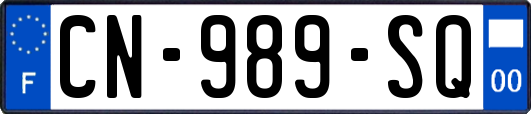 CN-989-SQ