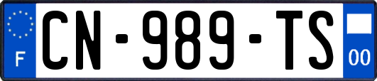 CN-989-TS