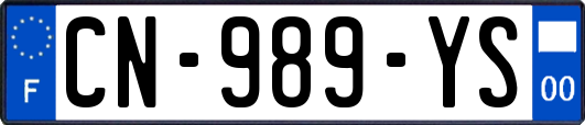 CN-989-YS