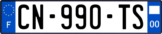 CN-990-TS