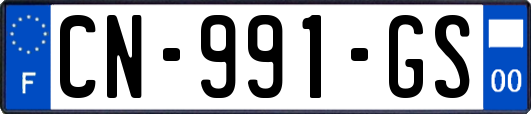CN-991-GS