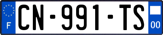 CN-991-TS