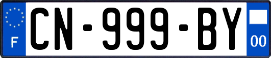 CN-999-BY