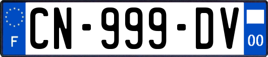 CN-999-DV