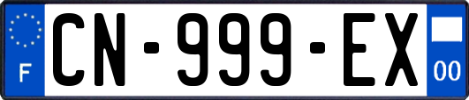 CN-999-EX
