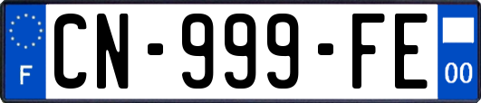 CN-999-FE