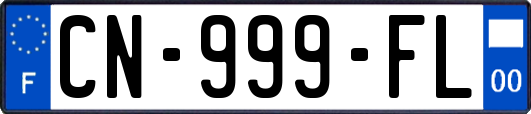 CN-999-FL