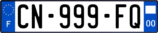 CN-999-FQ