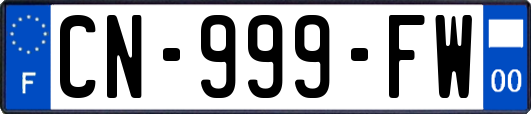 CN-999-FW