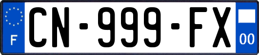 CN-999-FX