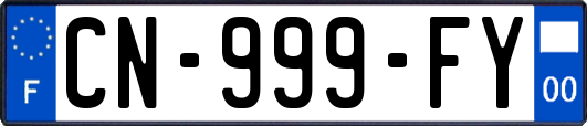 CN-999-FY